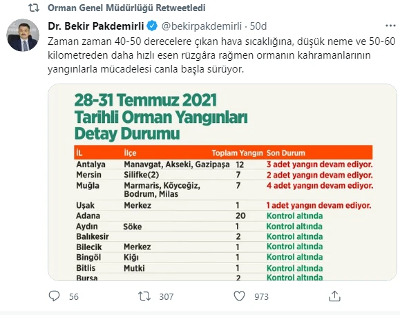 'Yeşil vatan' alevler içinde: Türkiye'deki orman yangınlarında son durum